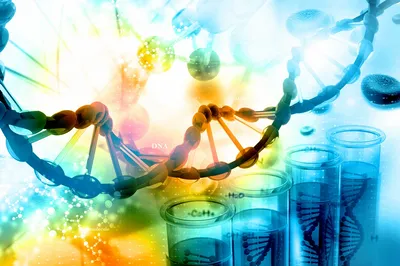 DNA Vaccine Development